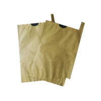 guava Protection bag  fruit paper bag